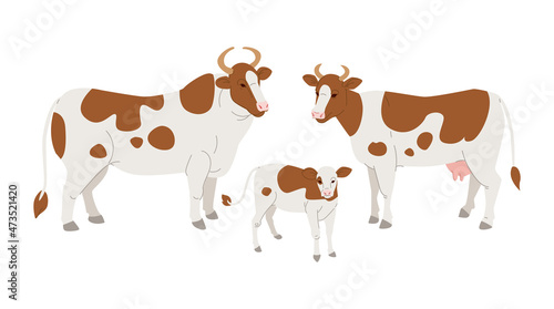 Family red cows set, isolated. Vector illustration