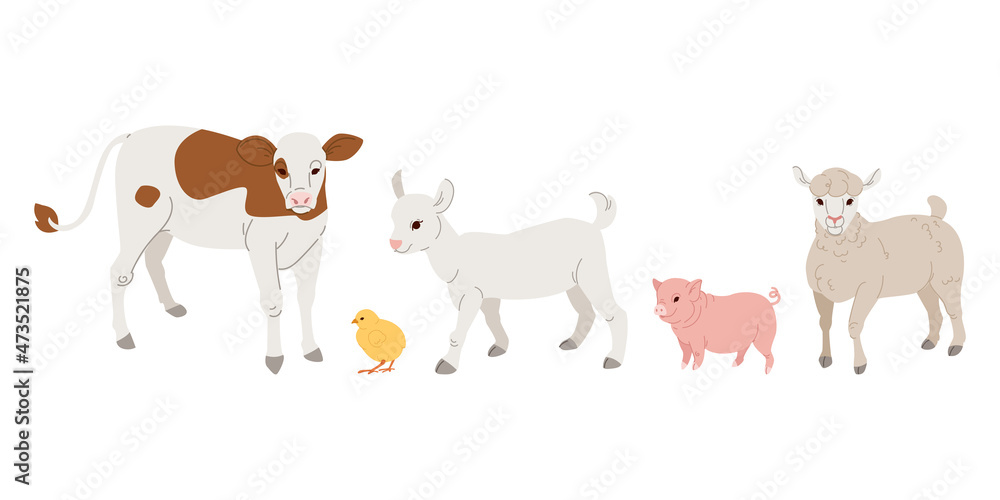 Farm animals kids. Calf, pig, lamb, kid and chicken. Vector flat illustration.