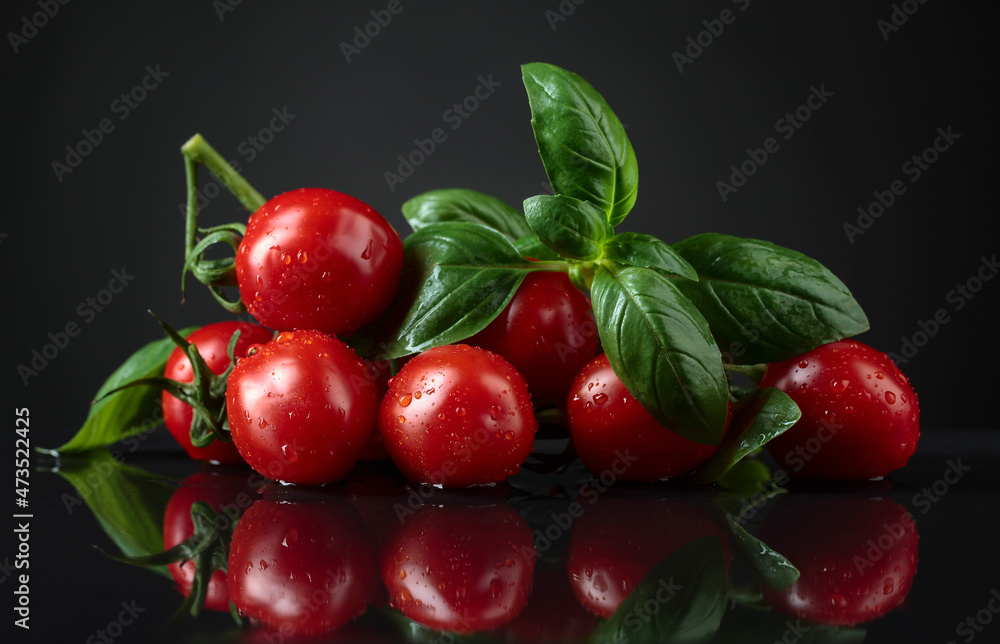 Obraz premium Wet tomatoes with green basil.