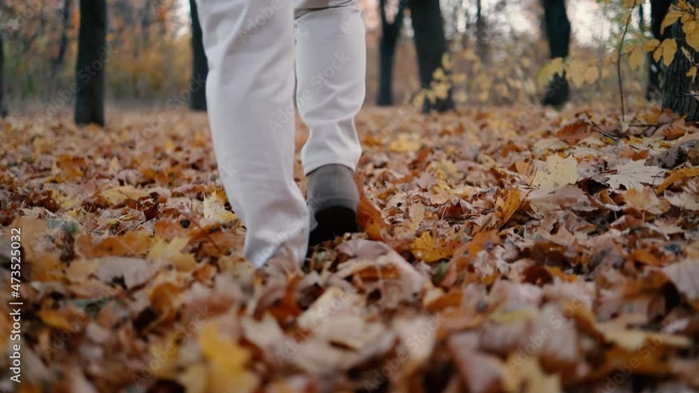 Walking hike with fallen leaves. Walk in a beautiful natural autumn park. Female traveler legs in light leather boots goes off-road through the forest with yellow and orange leaves Walking hike with fallen leaves. Walk in a beautiful natural autumn park. Female traveler legs in light leather boots goes off-road through the forest with yellow and orange leaves