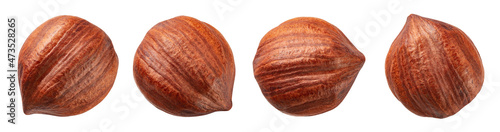 Hazelnut isolated. Hazelnut set on white background. Hazel top view. With clipping path. Full depth of field.