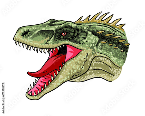 Drawing herrerasaurus head, art.illustration, vector © Uking