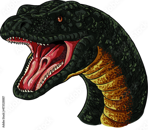 Drawing titanoboa head, art.illustration, vector