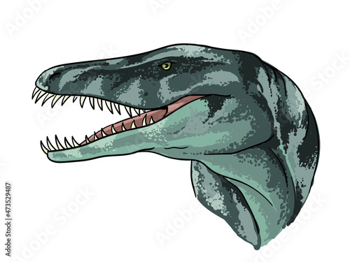 Drawing liopleurodon head, art.illustration, vector © Uking
