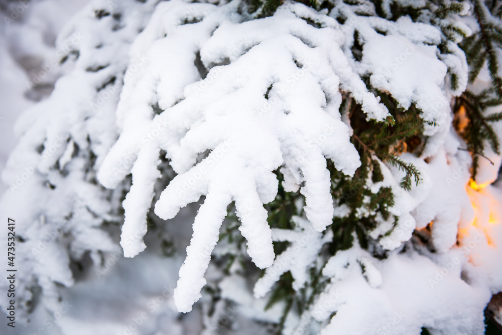 Snowy Christmas tree branches and yellow light under them Snowy Christmas tree branches and yellow light under them