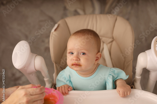 the baby in the feeding chair is fed by her mother with fruit and vegetable puree with a spoon from a pink plate. the concept of baby food. high-quality photography