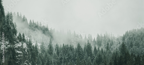 Niesamowita mistyczna rosnąca mgła las śnieg ośnieżone drzewa krajobraz snowscape w czarnym lesie (Schwarzwald) zima, Niemcy panorama banner - ciemny nastrój.