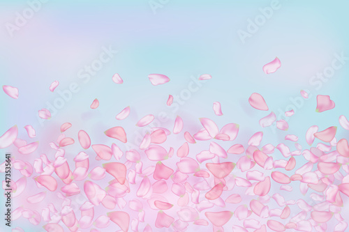 Pink falling sakura petals and flowers.Nature horizontal background. © gala