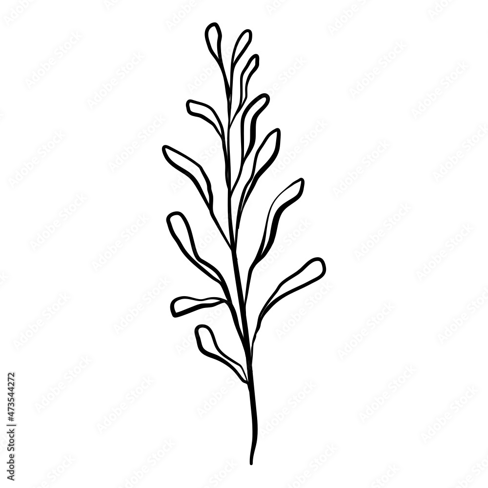 minimalist floral element for logo company minimalist floral element for logo company