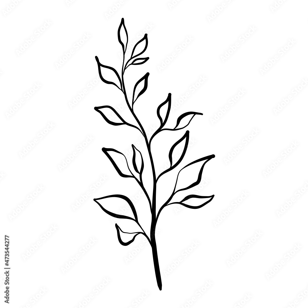 Fototapeta premium minimalist floral element for logo, symbol and icon design