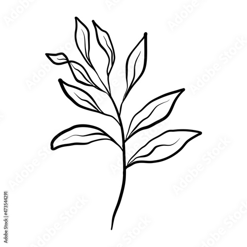botanical floral line element for wedding card design