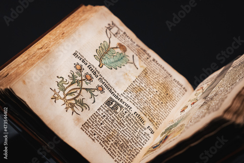 old herbal book with illustrations