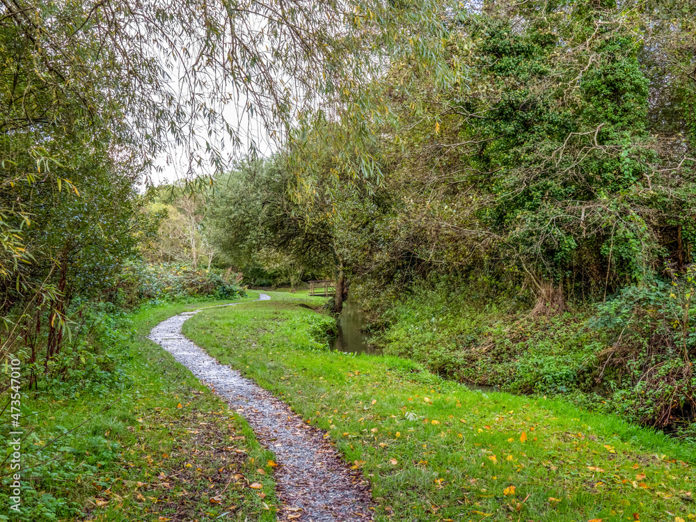 View of path in Kenwith valley local nature reserve aka LNR, and community park. Photo taken November. Bideford, Devon.