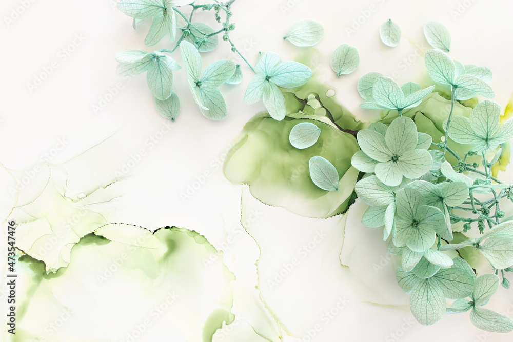 Creative image of pastel mint green Hydrangea flowers on artistic