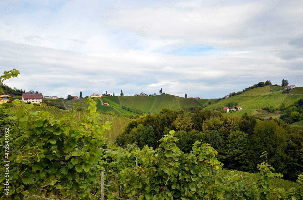 Naklejka premium Austria, Southern Styria, Tuscany of Austria