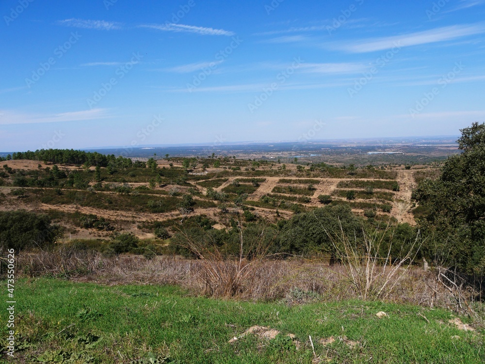 Paysage de l'Alentejo des hauteurs de Portel dans le sud du Portugal