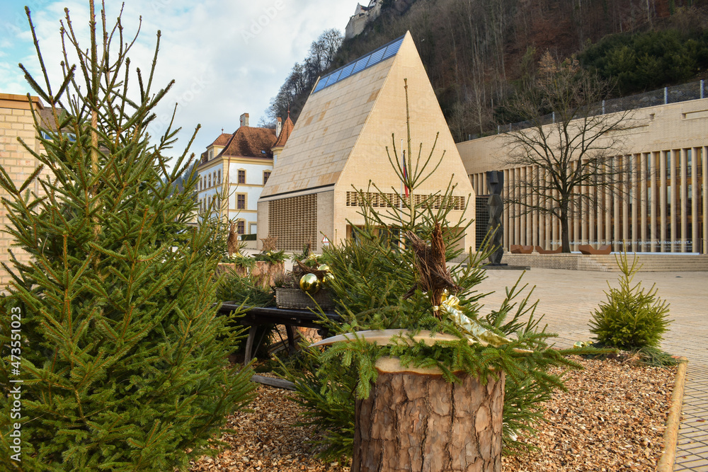 Obraz na płótnie Vaduz, Liechtenstein, December 6, 2021 Christmas decoration at the government building w salonie