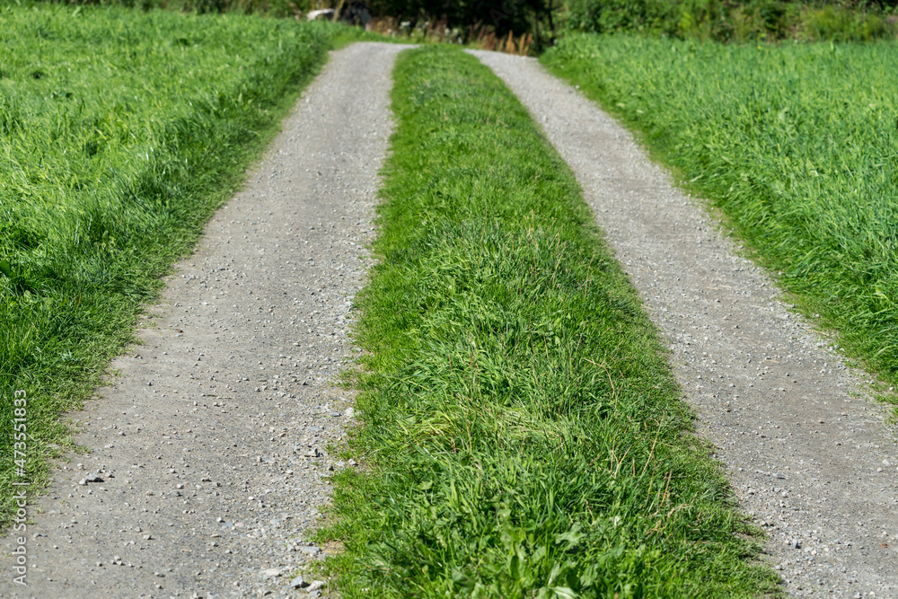 Idyllic tractor country road with green fresh grass next to it. Idyllic tractor country road with green fresh grass next to it.