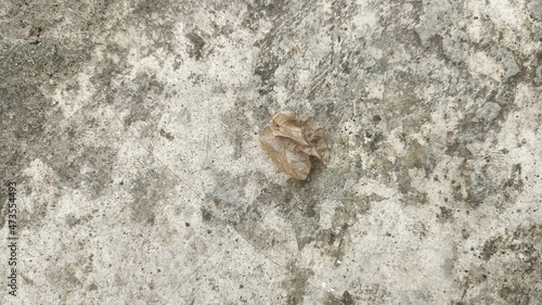 gray dry leaf isolated on cement road