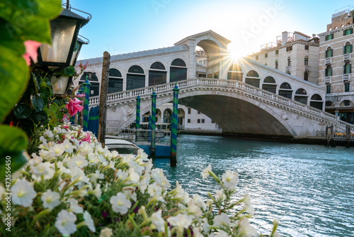 Sunrise at Rialto Bridge above Grand Canal in Venice with white flowers in foreground