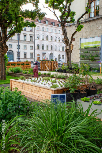 Wallpaper Mural Seedlings growing in urban garden Torontodigital.ca