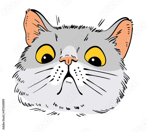 Cat portrait drawing. Shocked cat. Cartoon characters. Funny vector illustration. Isolated on white background
