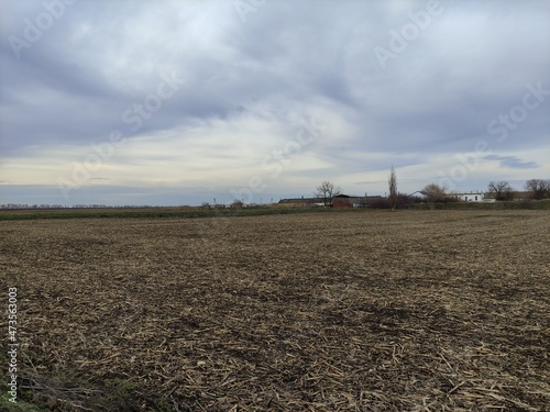 Old farm against the background of a harvested agricultural field © Alex Milan