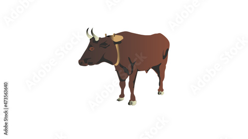 Oxen yoked for pulling a Conestoga wagon or plow