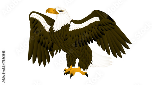 American eagle  upright and proud with wings outstretched