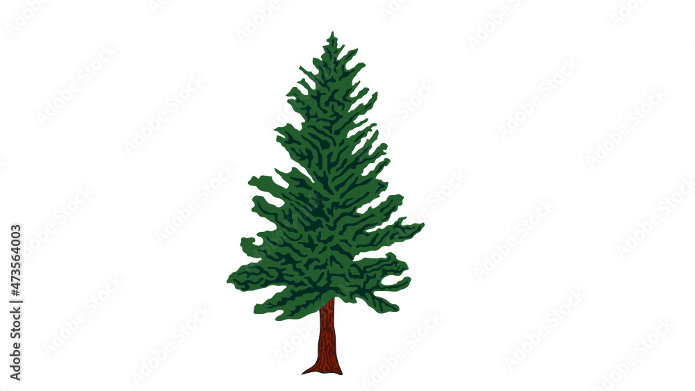 Vermont Pine