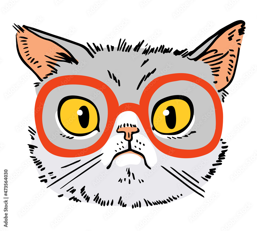 Nerd. Cat drawing. Sad cat face. Portrait of cat with glasses hipster. Cartoon characters. Funny vector illustration. Isolated on white background.