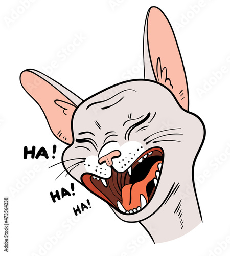 Cat portrait drawing. Laughing Cat face. Cartoon characters. Funny vector illustration. Isolated on white background.