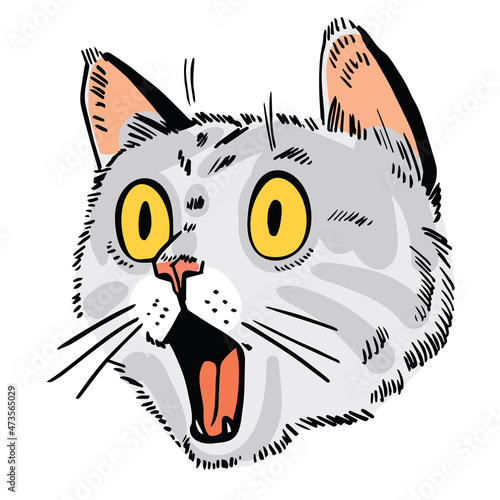Cat portrait drawing. Face of surprised cat. Cartoon characters. Funny vector illustration. Isolated on white background.