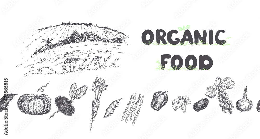 Vegetables, pumpkin, broccoli, Brussels sprouts, potatoes, beets, radishes, eggplant, peas, carrots, asparagus, peppers. Vector illustration of organic, natural food. Rural landscape.