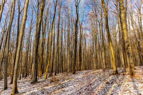 Winterwanderung durch die wunderschöne Vorderrhön bei Dermbach - Thüringen