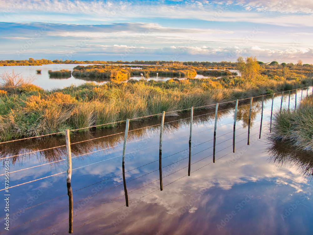 Fototapeta premium Nature sauvage préservée en fin de journée
