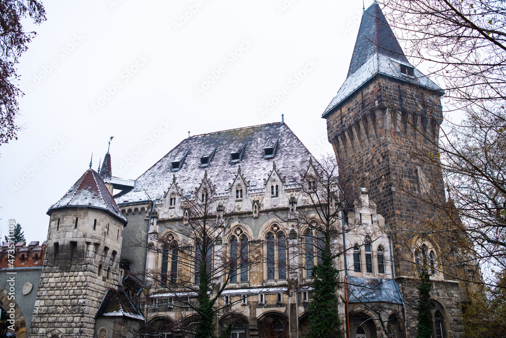 Fototapeta premium Budapest, Hungary city architecture