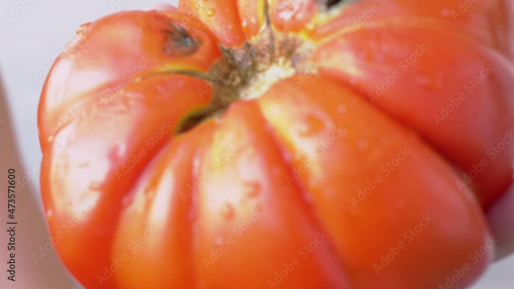 Female Hands Rotates a Modified Huge Red, Ripe Tomato