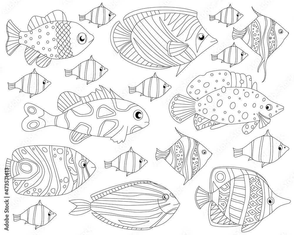 collection of lovely exotic fish with fancy ornament for your co