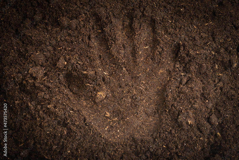 Woman hand trace on a ground. Woman hand trace on a ground.