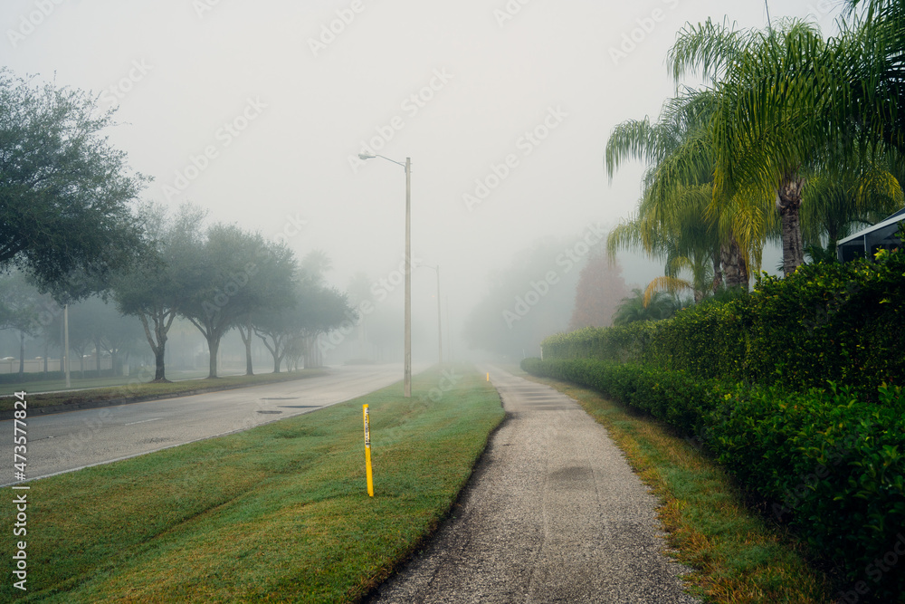 Fototapeta premium Big morning fog in a community 