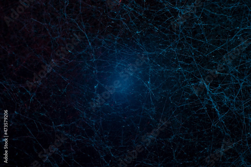 macro photography abstract blue natural texture neural network mold
