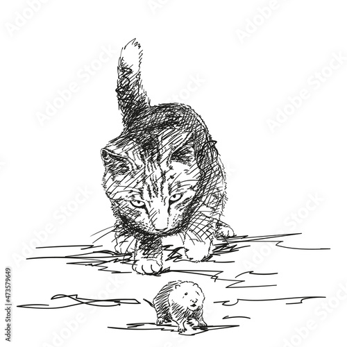 Sketch of cat playing with mouse, Hand drawn vector illustration with hatched shades
