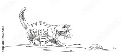 Sketch of cat playing with mouse, Hand drawn vector illustration with hatched shades