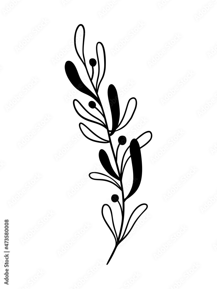 Mistletoe vector illustration. Floral hand drawn ilex. Christmas linear element in modern style. Elegant silhouette isolated on white background. Mistletoe line art for invitation, card, poster.