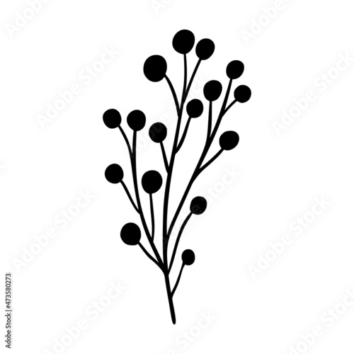 Ashberry branch vector illustration. Floral hand drawn rowan. Christmas linear element in modern style. Elegant ashberry twig silhouette isolated on white background. Rowan branch line art design.
