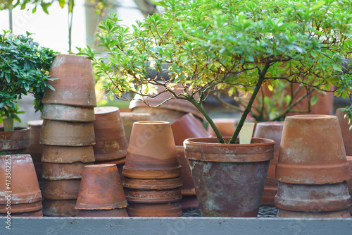 Stacks of old terracotta pots covered in dirt or soil after transplantation and cultivation of houseplants, azalea plants in winter garden or orangery. Used clay flowerpots in greenhouse or greenery