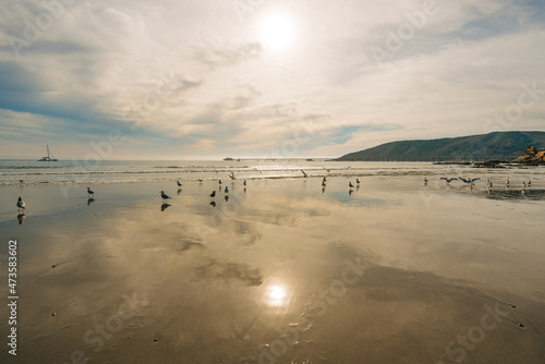 Wide sandy beach with beautiful sun reflections, birds, and cloudy sky on background