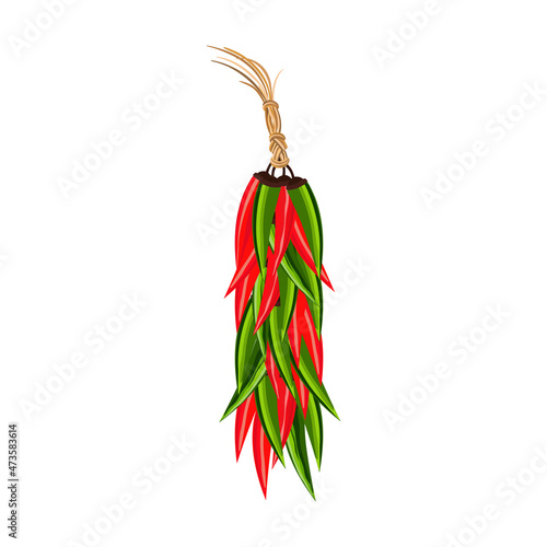 Hot chili peppers garland hanging ristra vector. Red green spicy pepper cartoon design element. Mexican traditional hand drawn paprika symbol. Chili cooking ingredient in Mexico tradition illustration photo