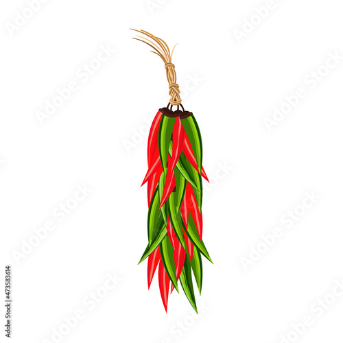 Hot chili peppers garland hanging ristra vector. Red green spicy pepper cartoon design element. Mexican traditional hand drawn paprika symbol. Chili cooking ingredient in Mexico tradition illustration